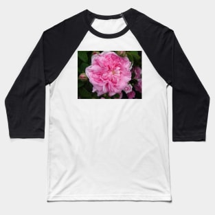 Pink Rose Photo - Vintage Baseball T-Shirt